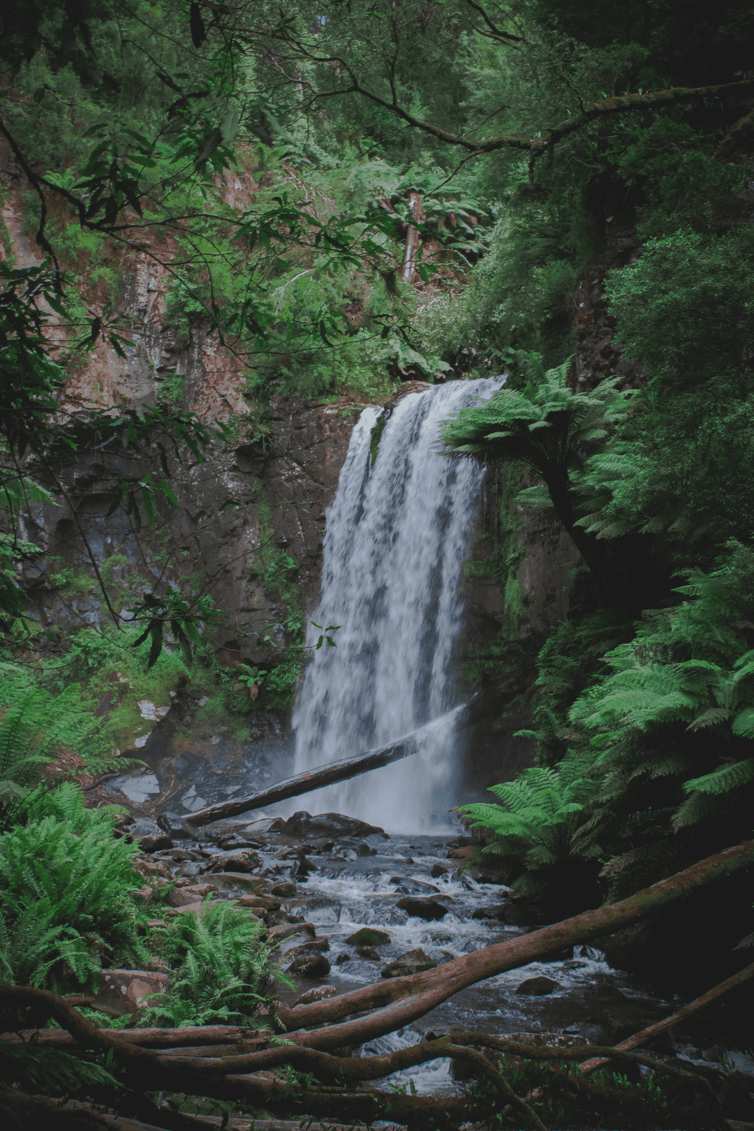 Hopetoun Falls dropping into a fern gully in the Great Otway National Park, Victoria